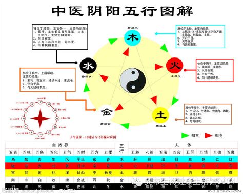 相生相剋 五行|五行相生相剋:五行,四季五行,相生相剋,概念對應,五行數理,五行方。